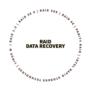 RAID DATA RECOVERY