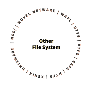 Other file System Data Recovery