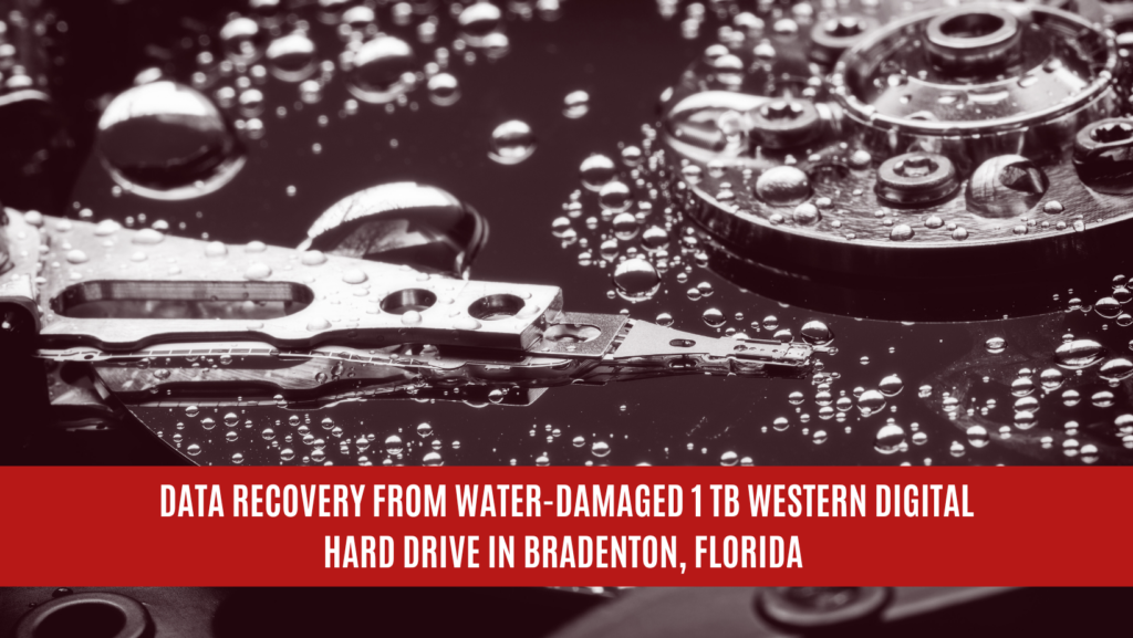 Data Recovery from Water-Damaged 1 TB Western Digital Hard Drive in Bradenton, Florida