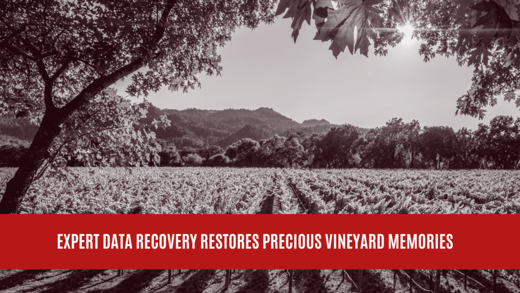 Expert Data Recovery Restores Precious Vineyard Memories