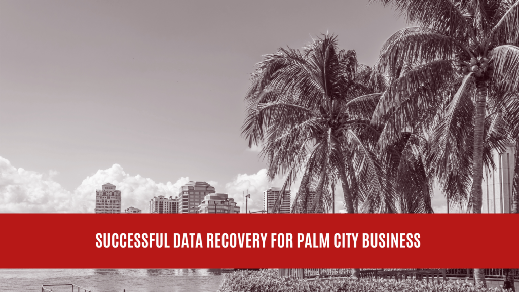 Successful Data Recovery for Palm City Business