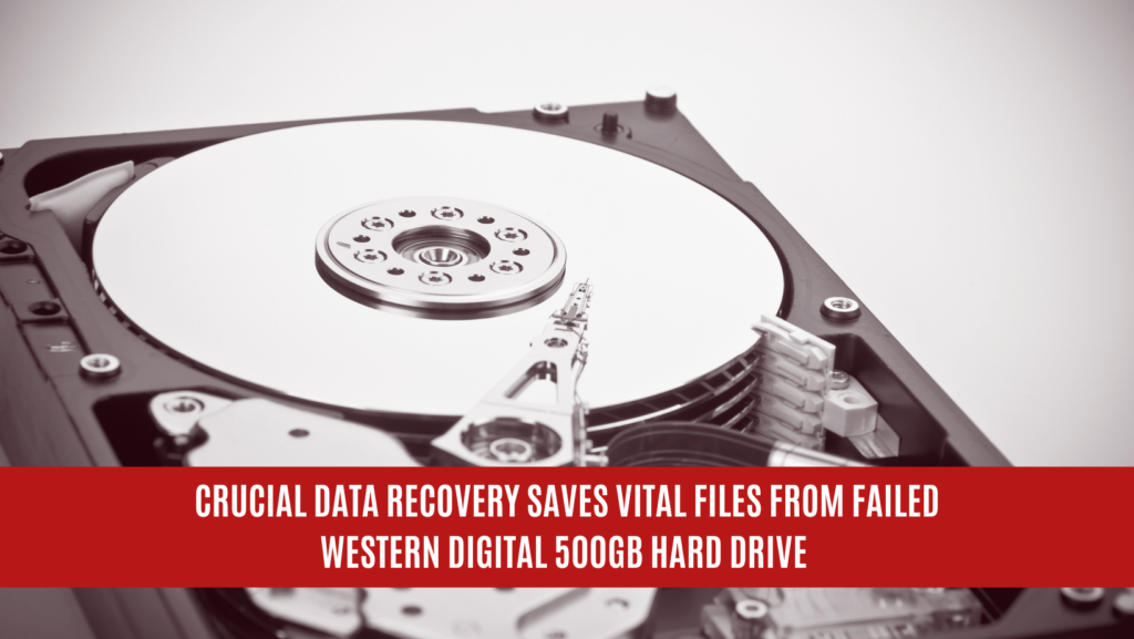 Crucial Data Recovery Saves Vital Files from Failed Western Digital 500GB Hard Drive
