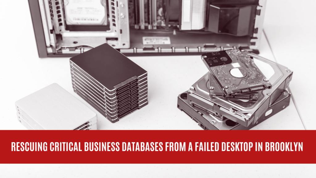 Rescuing Critical Business Databases from a Failed Desktop in Brooklyn