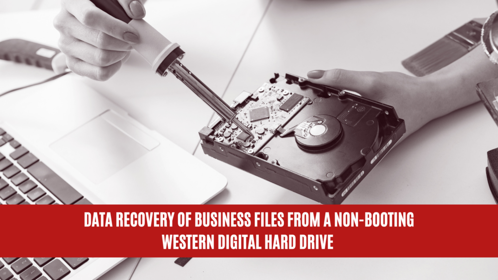 Data Recovery of Business Files from a Non-Booting Western Digital Hard Drive