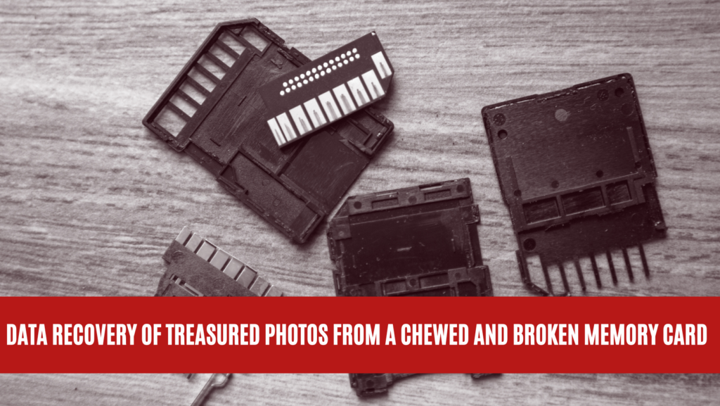 Data Recovery of Treasured Photos from a Chewed and Broken Memory Card