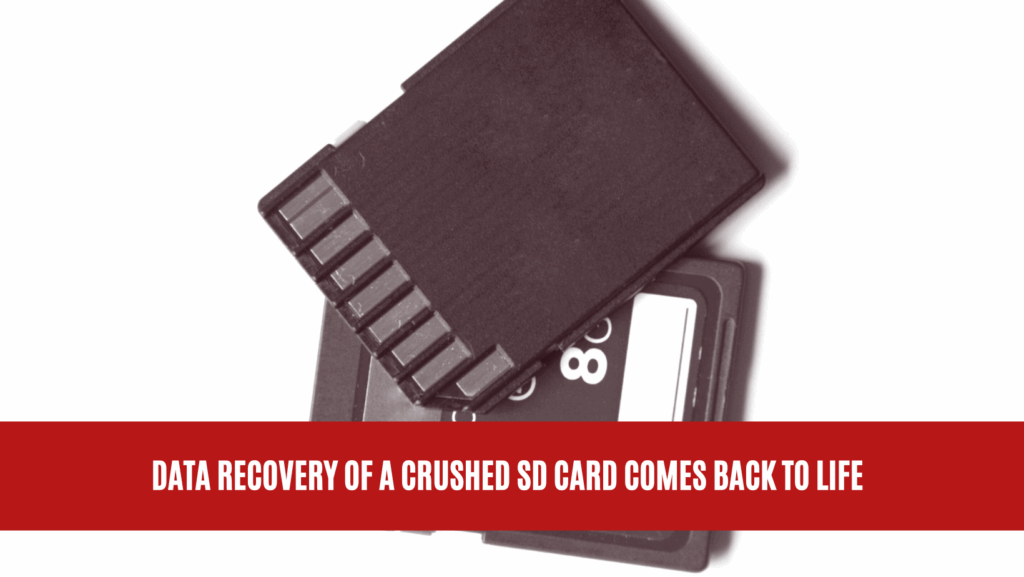 Data Recovery of a Crushed SD Card Comes Back to Life Data Recovery of a Crushed SD Card Comes Back to Life
