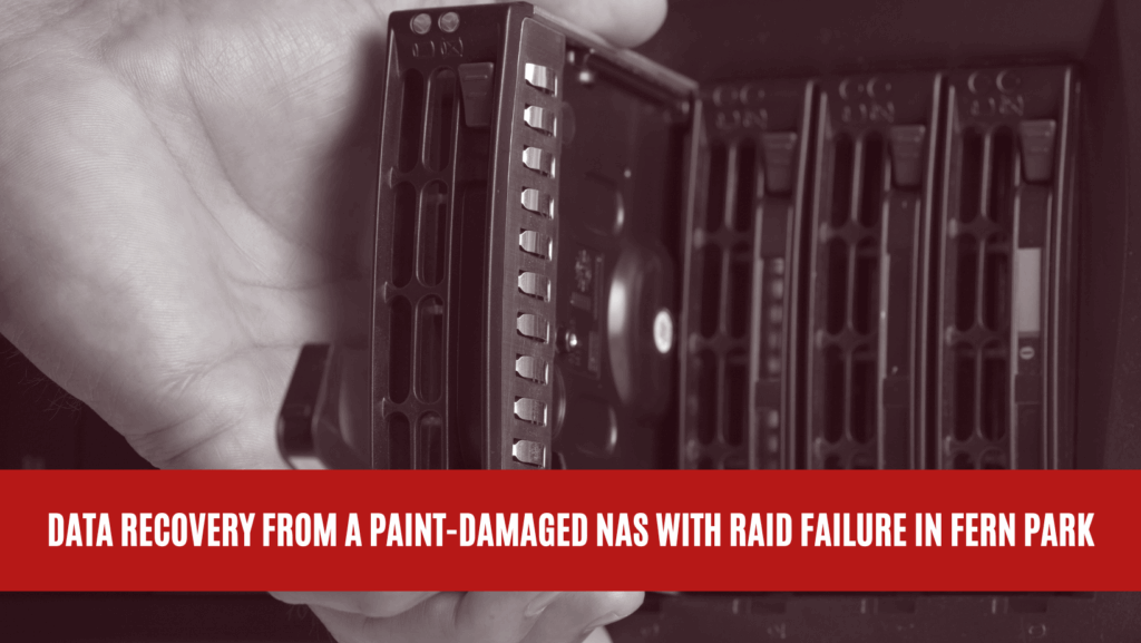 Data Recovery from a Paint-Damaged NAS with RAID Failure in Fern Park