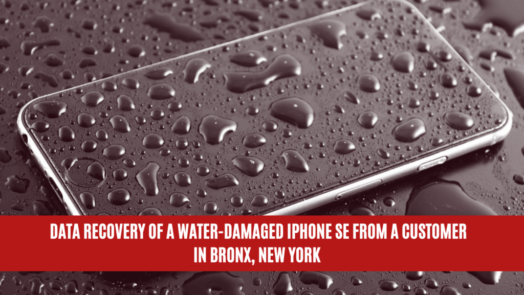 Data Recovery of a Water-Damaged iPhone SE from a Customer in Bronx, New York Data Recovery of a Water-Damaged iPhone SE from a Customer in Bronx, New York